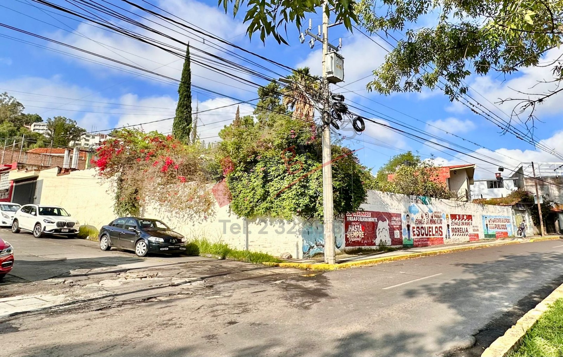 NUEVA JACARANDAS